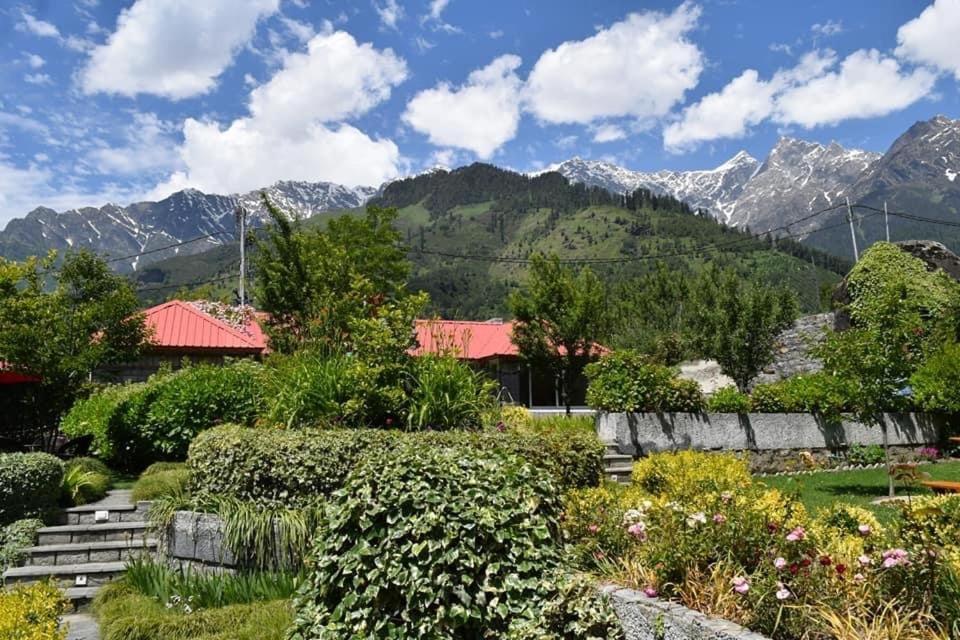 The Amrit Manali 2&3 Bhk Villas 外观 照片